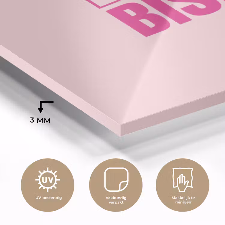 Bisou - Roze - Minimalistisch plexiglas 5mm klein -sfeer2