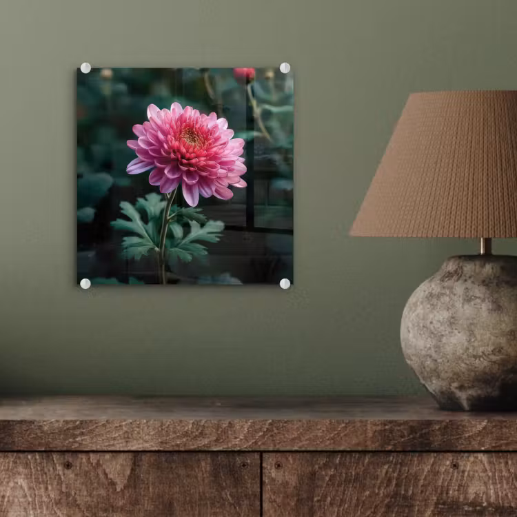 Blad - Chrysant - Roze - Schaduw plexiglas 5mm klein -sfeer3