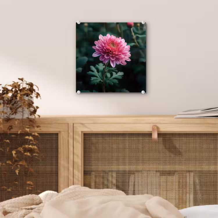 Blad - Chrysant - Roze - Schaduw plexiglas 5mm klein -sfeer4