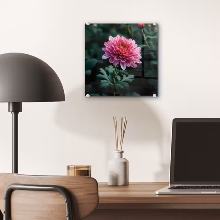Blad - Chrysant - Roze - Schaduw plexiglas 5mm klein -sfeer6