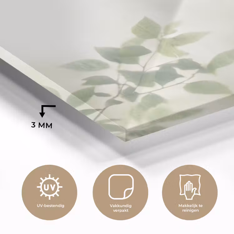 Blad - Schaduw - Natuur - Abstract - Groen plexiglas 5mm klein -sfeer2