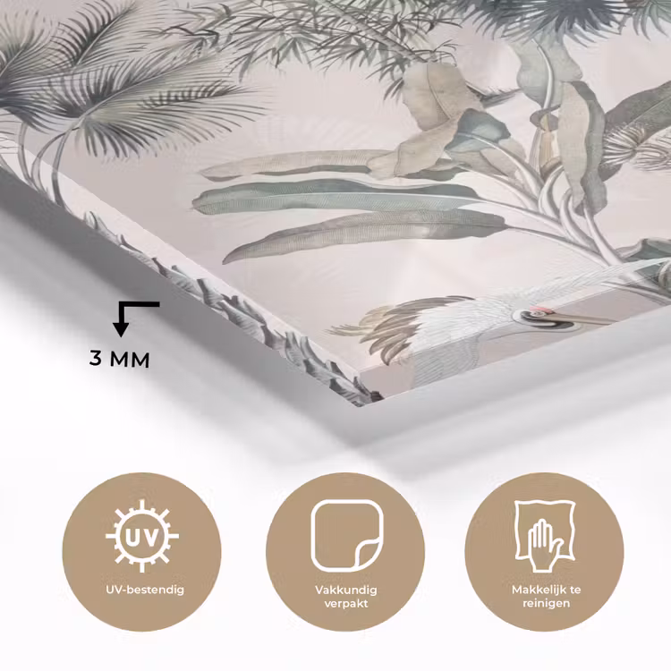 Bladeren - Monstera - Jungle - Tropical plexiglas 5mm klein -sfeer2