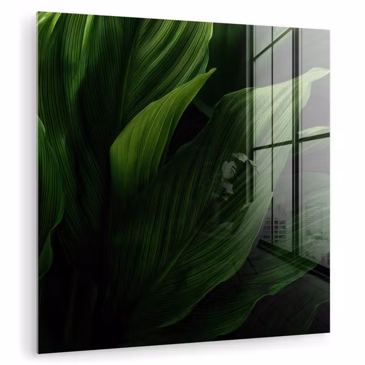 Bladeren - Schaduw - Groen - Textuur plexiglas 5mm klein -zzzproduct_nieuw