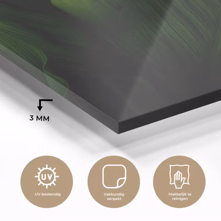 Bladeren - Schaduw - Groen - Textuur plexiglas 5mm klein -sfeer2