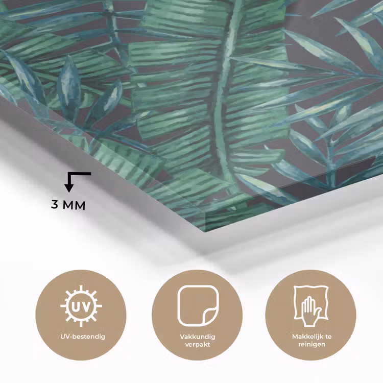 Bladeren - Tropisch - Jungle - Natuur plexiglas 5mm klein -sfeer2