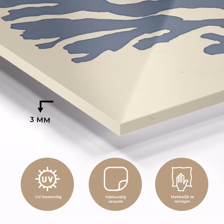 Blauw koraal - Vertakkingen - Beige plexiglas 5mm klein -sfeer2