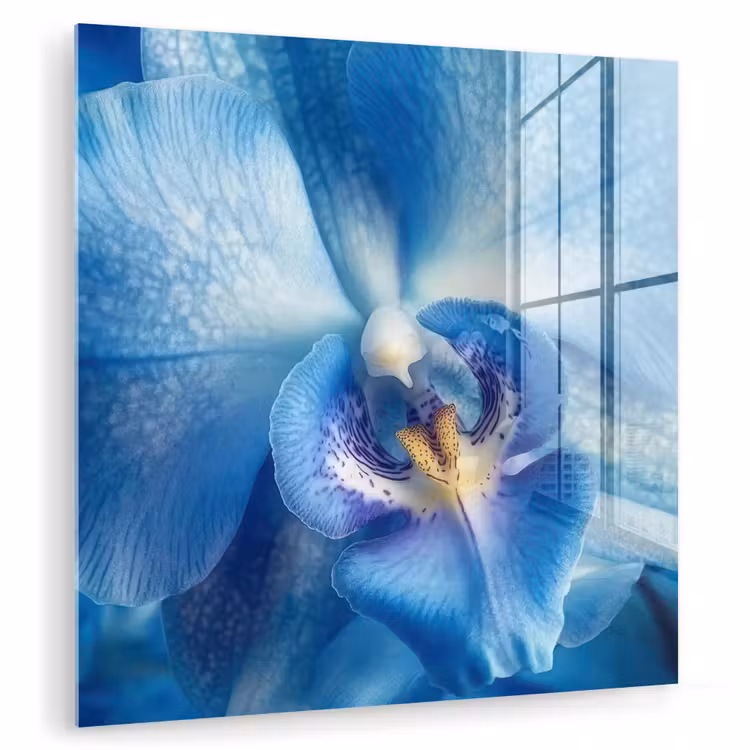 Blauw - Orchidee - Elegeant plexiglas 5mm klein -zzzproduct_nieuw