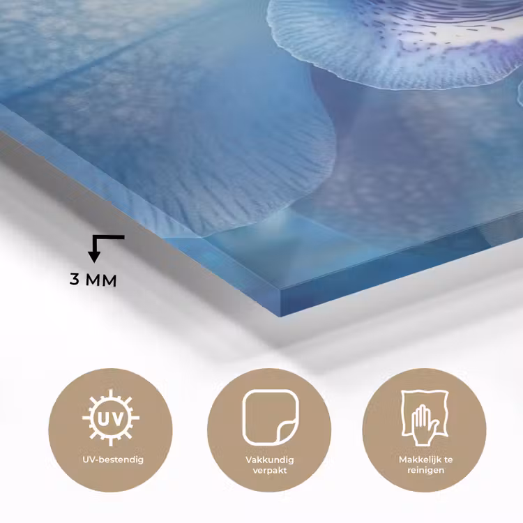 Blauw - Orchidee - Elegeant plexiglas 5mm klein -sfeer2