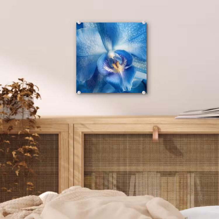 Blauw - Orchidee - Elegeant plexiglas 5mm klein -sfeer4