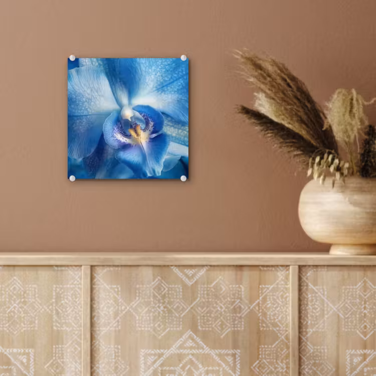 Blauw - Orchidee - Elegeant plexiglas 5mm klein -sfeer5