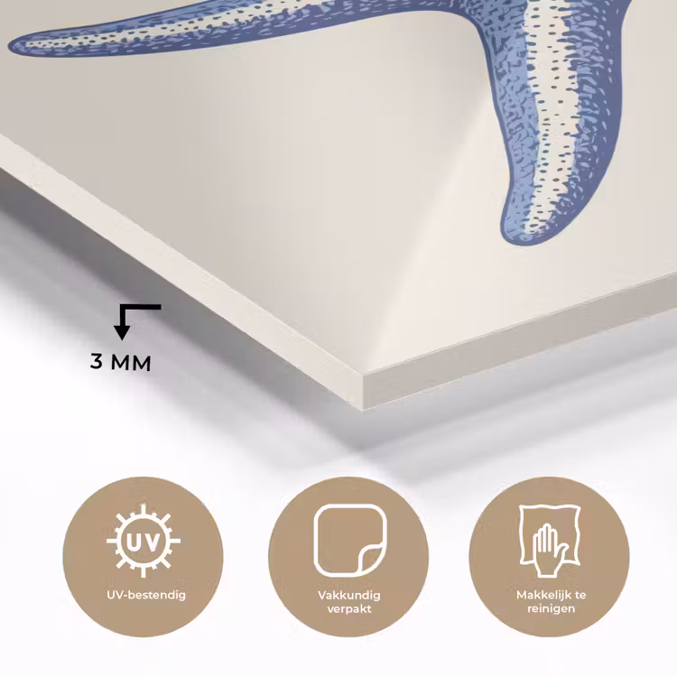 Blauwe zeester - Minimalistisch - Beige plexiglas 5mm klein -sfeer2