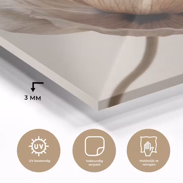 Bloem - Beige - Crème plexiglas 5mm klein -sfeer2