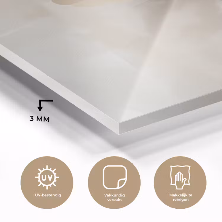 Bloem - Beige - Verf - Schaduw plexiglas 5mm klein -sfeer2