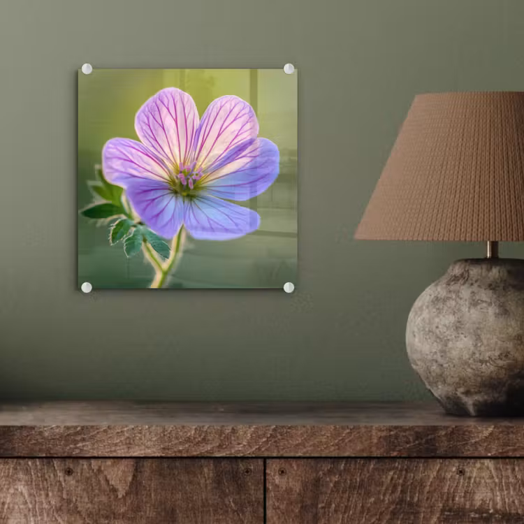 Bloem - Close up - Paars plexiglas 5mm klein -sfeer3