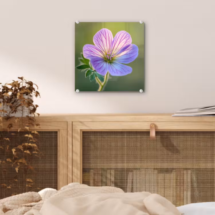 Bloem - Close up - Paars plexiglas 5mm klein -sfeer4
