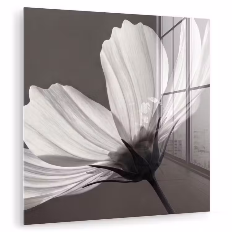 Bloem - Minimalistisch - Zwart - Wit plexiglas 5mm klein -zzzproduct_nieuw