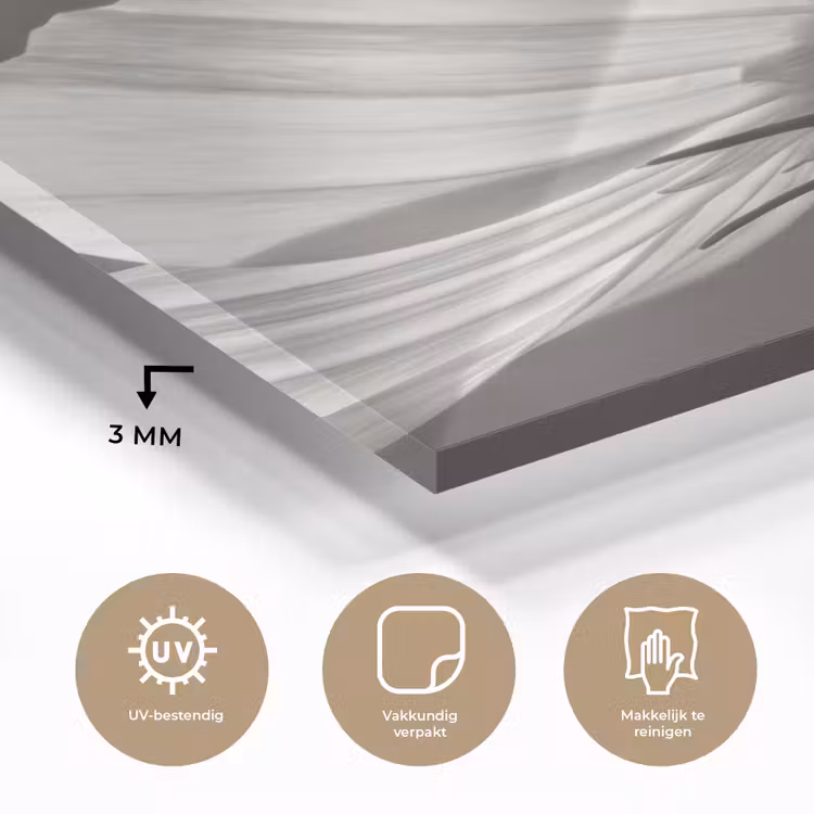 Bloem - Minimalistisch - Zwart - Wit plexiglas 5mm klein -sfeer2