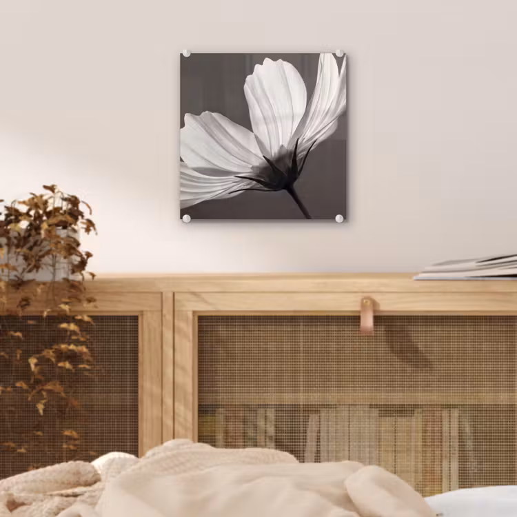 Bloem - Minimalistisch - Zwart - Wit plexiglas 5mm klein -sfeer4
