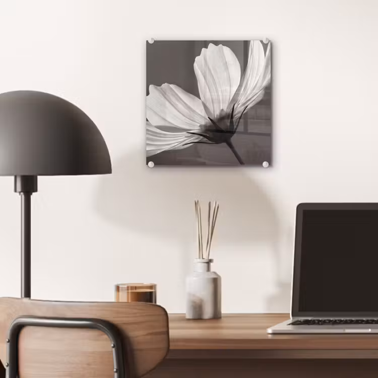 Bloem - Minimalistisch - Zwart - Wit plexiglas 5mm klein -sfeer6