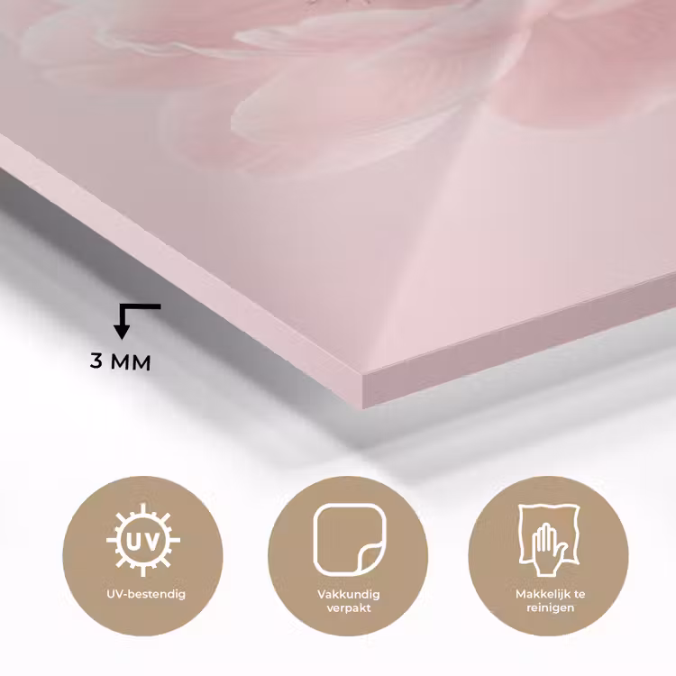 Bloem - Pioenroos - Roze plexiglas 5mm klein -sfeer2