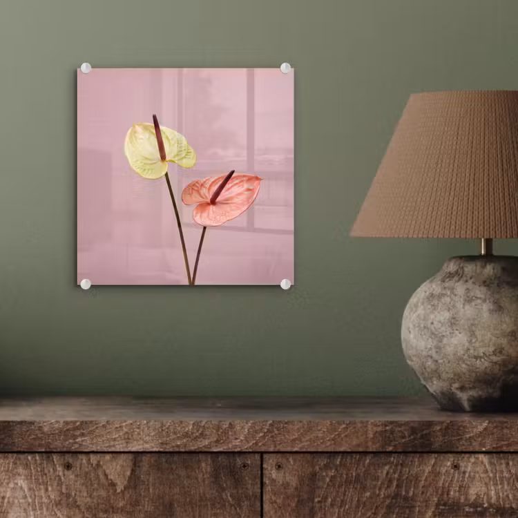 Bloemen - Anthuriums - Geel - Roze plexiglas 5mm klein -sfeer3