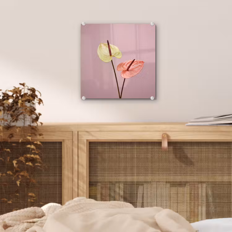 Bloemen - Anthuriums - Geel - Roze plexiglas 5mm klein -sfeer4
