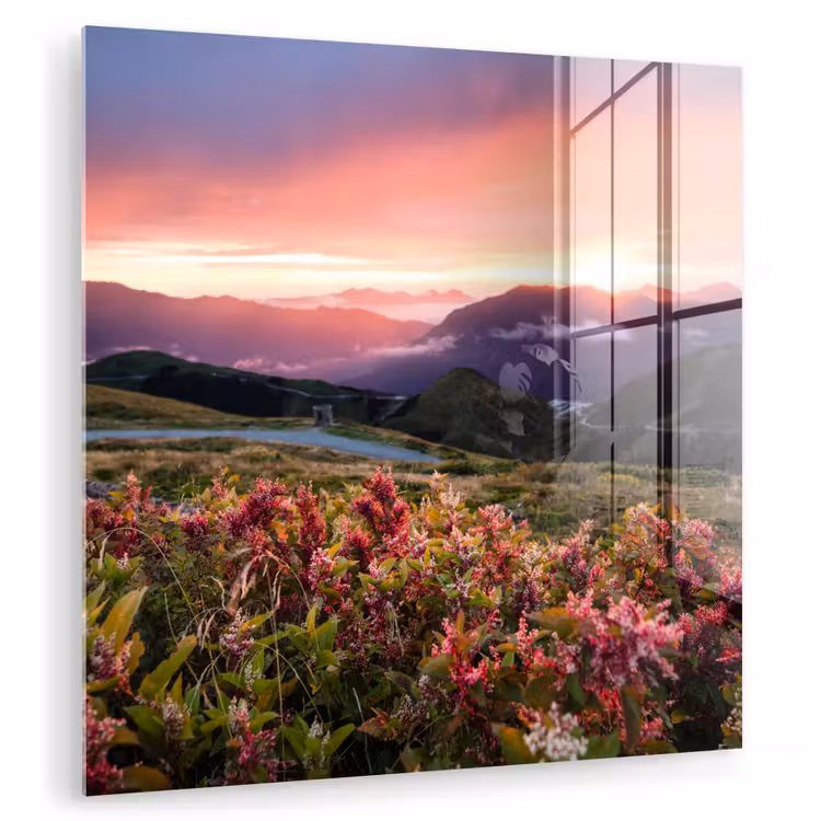 Bloemen - Bergen - Landschap - Nacht - Lucht - Roze plexiglas 5mm klein -zzzproduct_nieuw