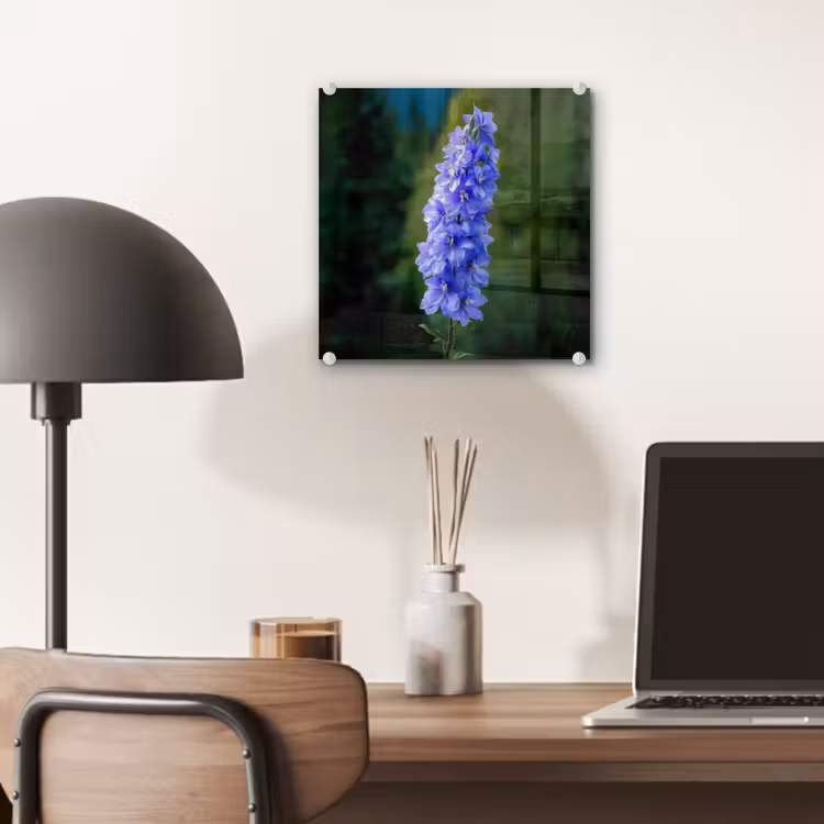 Bloemen - Blauw - Dennenboom plexiglas 5mm klein -sfeer6