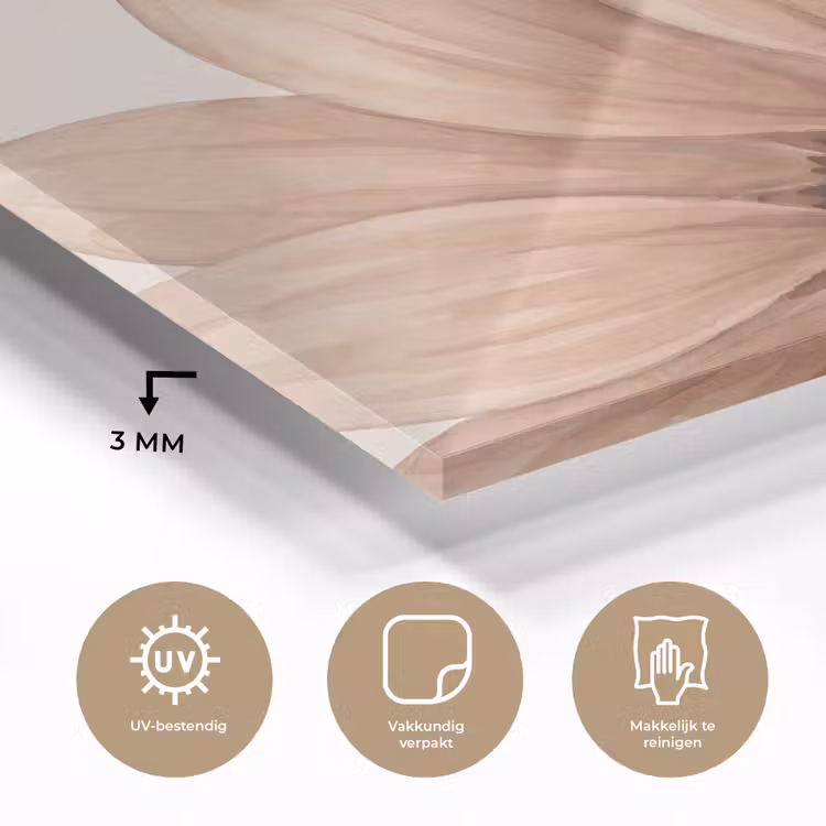 Bloemen - Bloemblad - Natuur - Aquarel - Beige plexiglas 5mm klein -sfeer2
