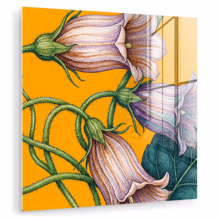 Glas schilderij - Bloemen - Botanisch - Geel - Bloemen - Botanisch - Geel plexiglas 5mm klein