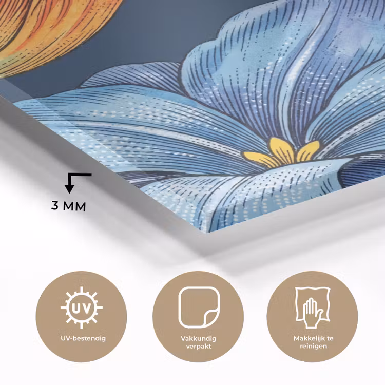 Glas schilderij - Bloemen - Botanisch - Patroon - Bloemen - Botanisch - Patroon plexiglas 5mm klein