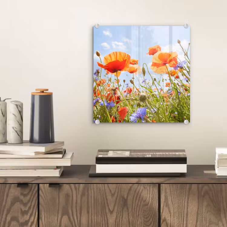 Bloemen - Klaproos - Lente - Natuur - Rood - Blauw plexiglas 5mm klein -sfeer1