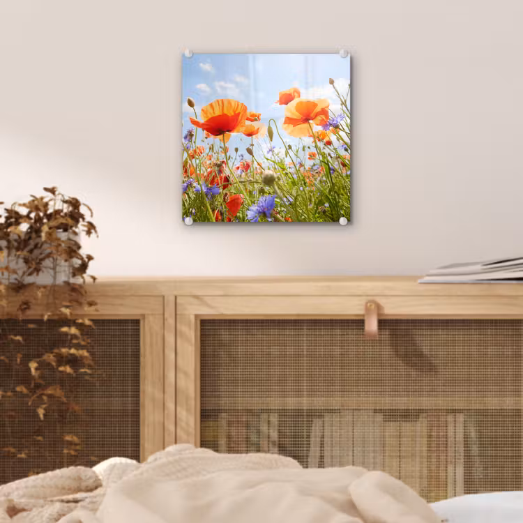 Bloemen - Klaproos - Lente - Natuur - Rood - Blauw plexiglas 5mm klein -sfeer4