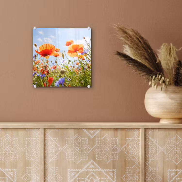 Bloemen - Klaproos - Lente - Natuur - Rood - Blauw plexiglas 5mm klein -sfeer5