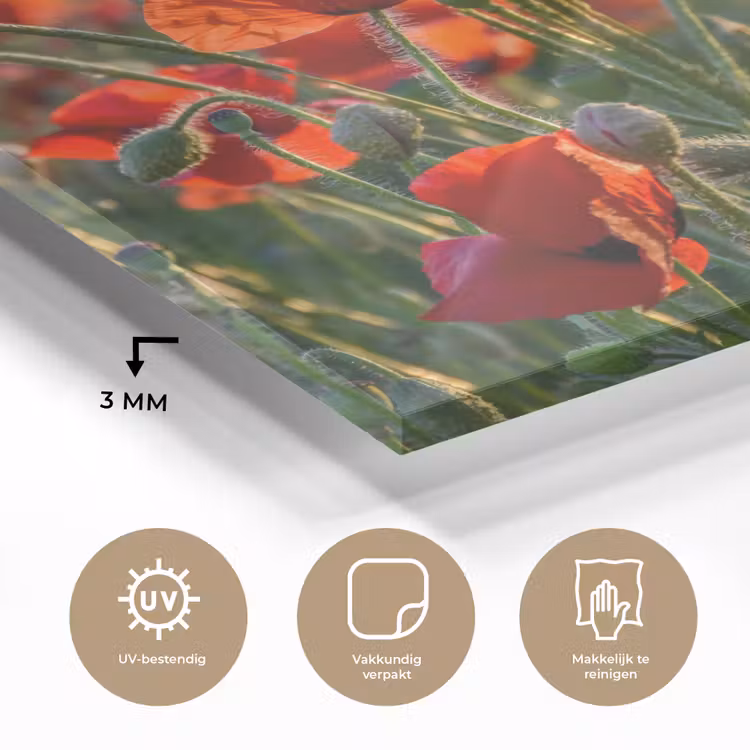 Bloemen - Klaprozen - Natuur - Rood plexiglas 5mm klein -sfeer2