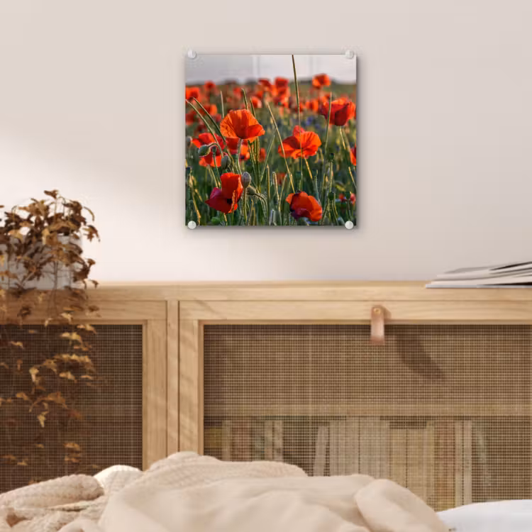 Bloemen - Klaprozen - Natuur - Rood plexiglas 5mm klein -sfeer4