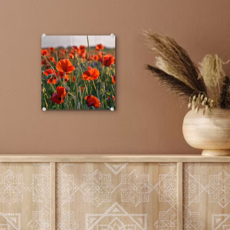 Bloemen - Klaprozen - Natuur - Rood plexiglas 5mm klein -sfeer5