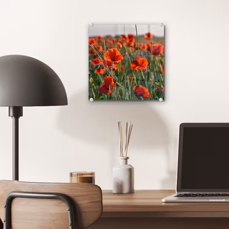 Bloemen - Klaprozen - Natuur - Rood plexiglas 5mm klein -sfeer6