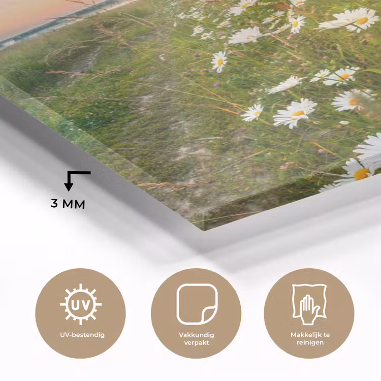 Bloemen - Madelief - Natuur - Zon - Horizon plexiglas 5mm klein -sfeer2