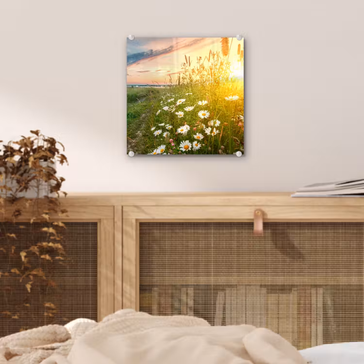 Bloemen - Madelief - Natuur - Zon - Horizon plexiglas 5mm klein -sfeer4