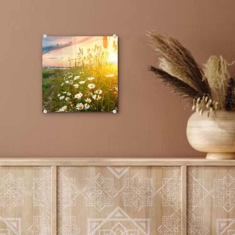 Bloemen - Madelief - Natuur - Zon - Horizon plexiglas 5mm klein -sfeer5