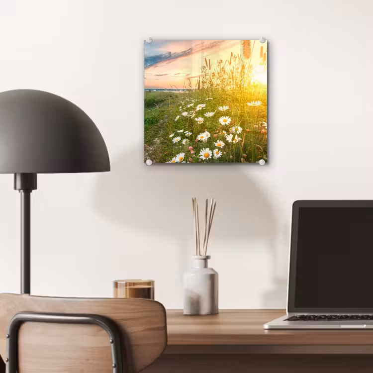 Bloemen - Madelief - Natuur - Zon - Horizon plexiglas 5mm klein -sfeer6