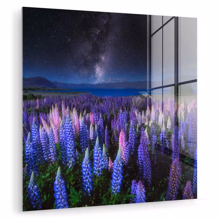 Bloemen - Nacht - Lupine - Sterrenhemel - Paars - Natuur plexiglas 5mm klein -zzzproduct_nieuw