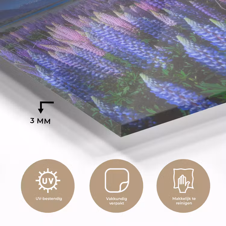 Bloemen - Nacht - Lupine - Sterrenhemel - Paars - Natuur plexiglas 5mm klein -sfeer2
