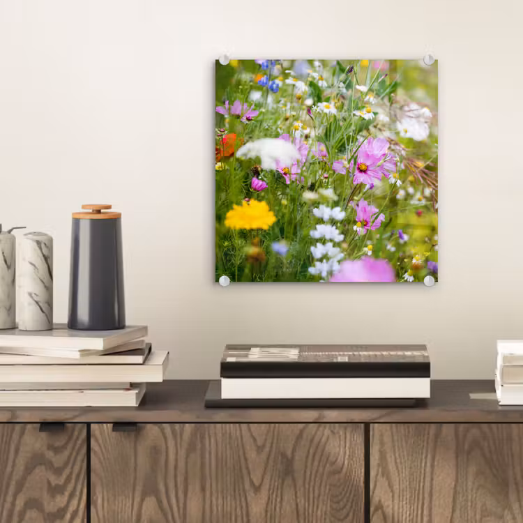 Bloemen - Natuur - Groen - Gras - Paars - Wit plexiglas 5mm klein -sfeer1