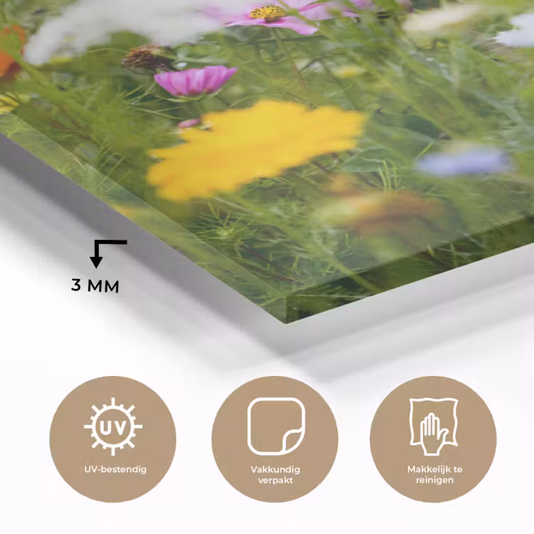 Bloemen - Natuur - Groen - Gras - Paars - Wit plexiglas 5mm klein -sfeer2