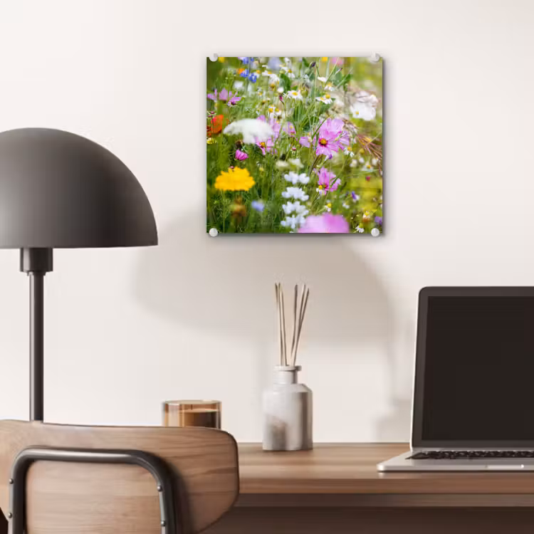 Bloemen - Natuur - Groen - Gras - Paars - Wit plexiglas 5mm klein -sfeer6