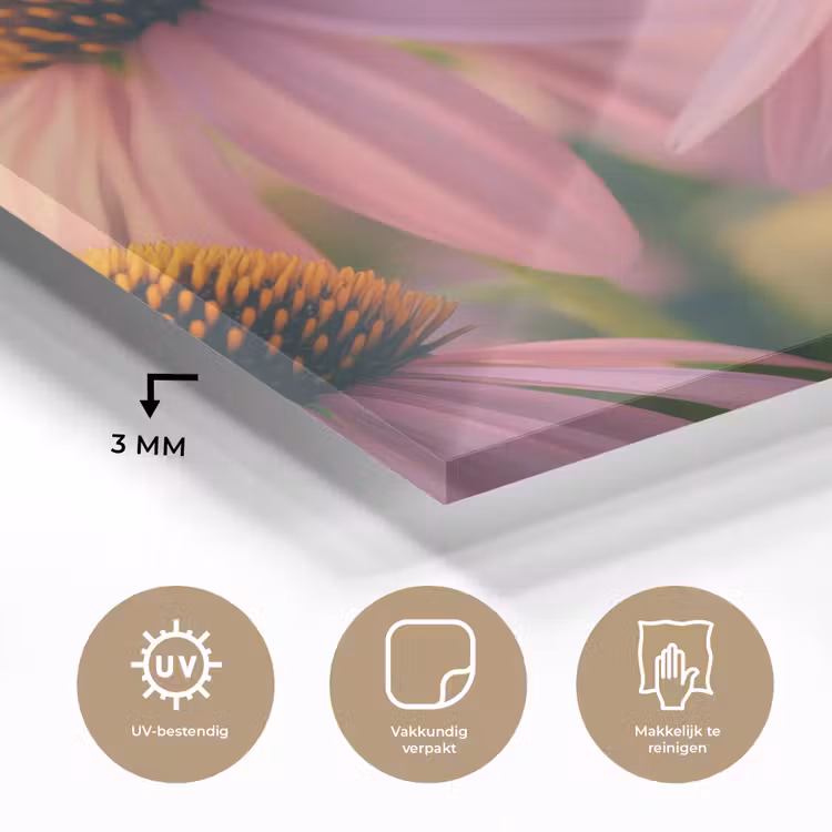 Bloemen - Paars - Bijen plexiglas 5mm klein -sfeer2