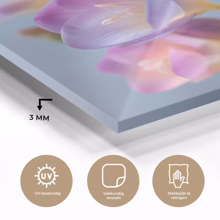 Bloemen - Paars - Overloop - Meeldraden plexiglas 5mm klein -sfeer2