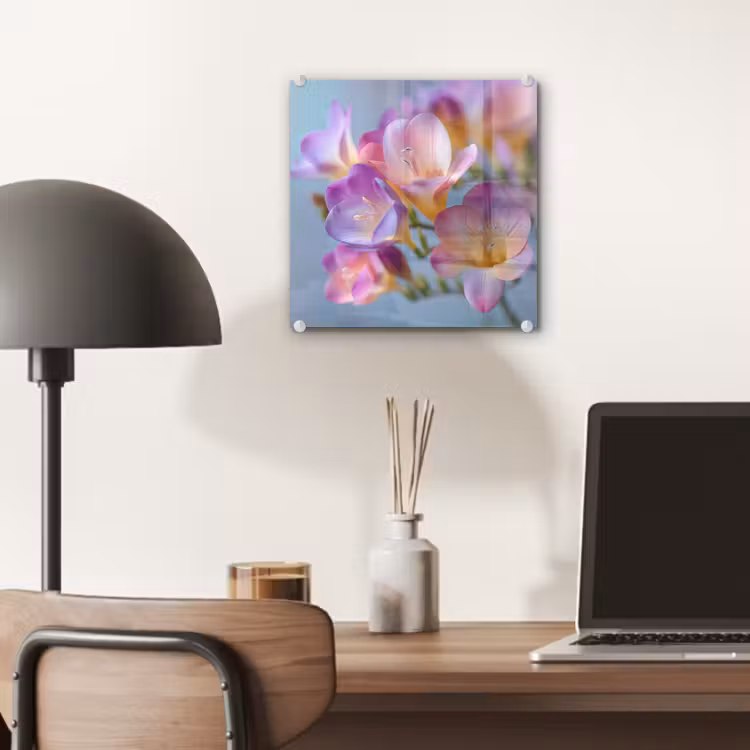 Bloemen - Paars - Overloop - Meeldraden plexiglas 5mm klein -sfeer6